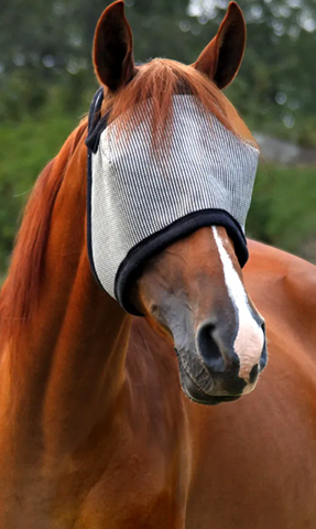 Durvet DuraMask Equine Fly Mask without Ears